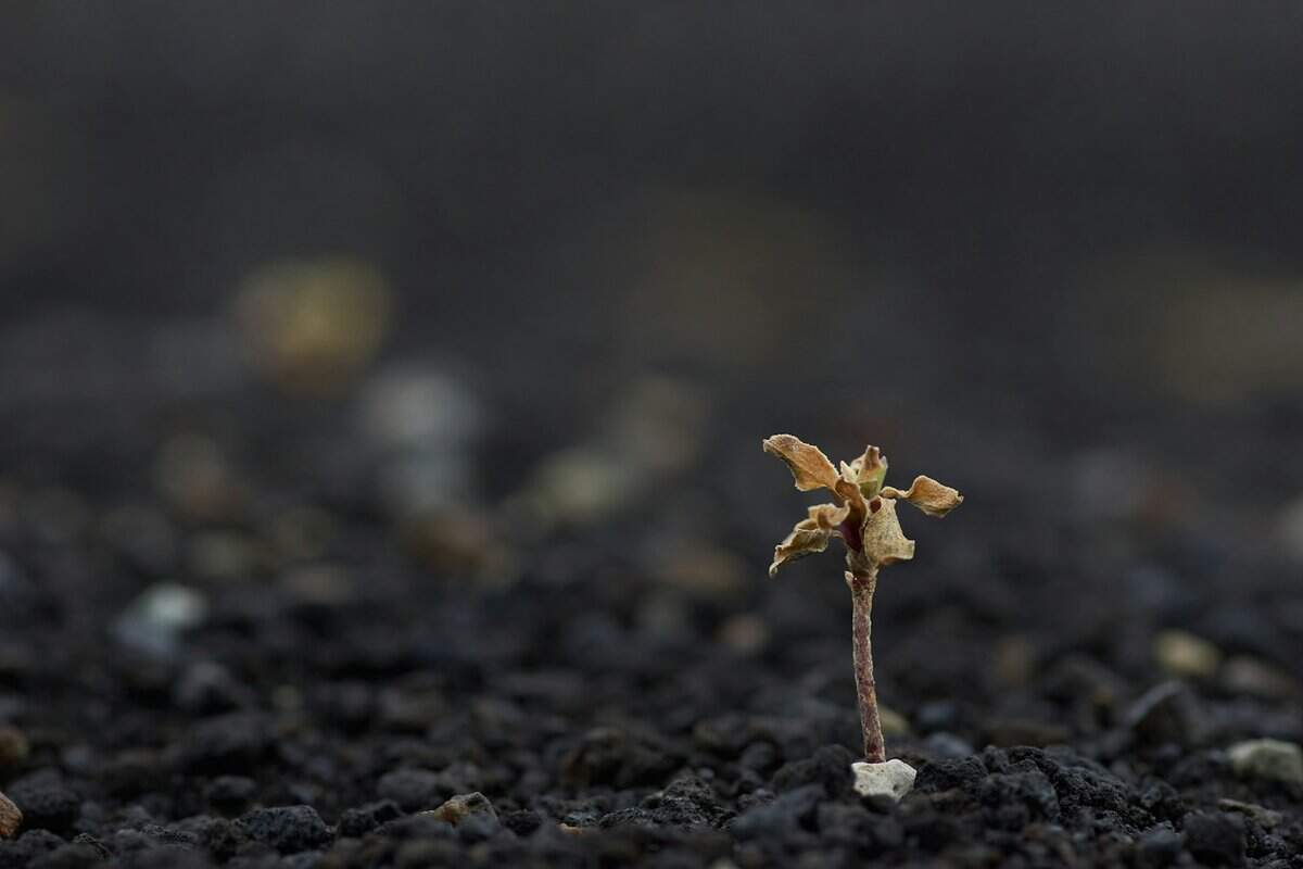 personal growth goals examples