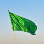 red flags or green flags